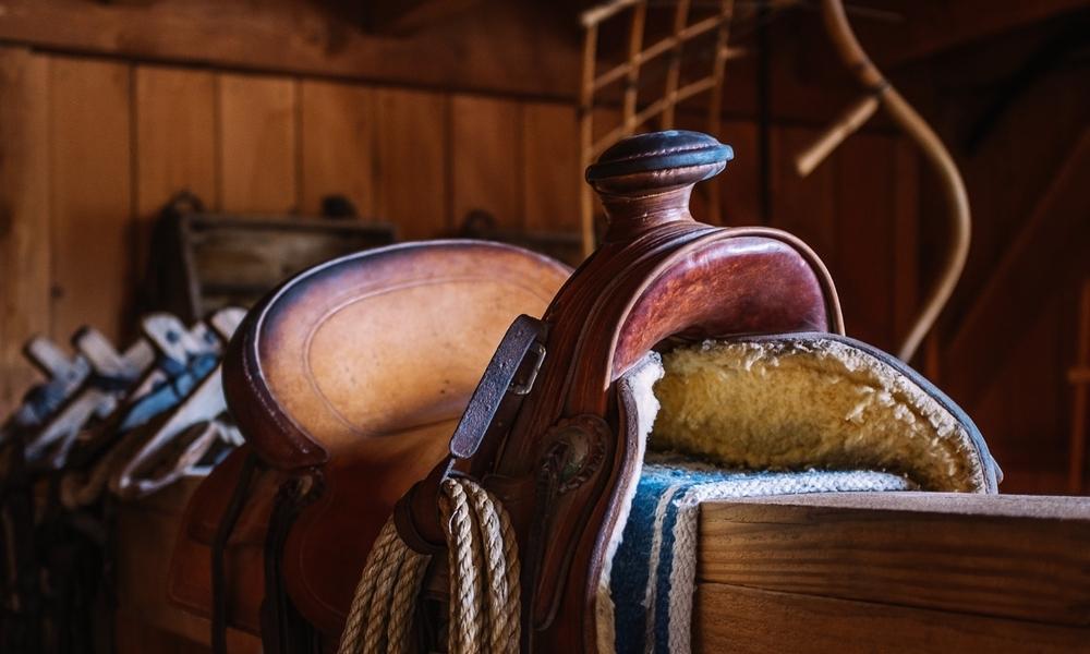 Saddle in Barn