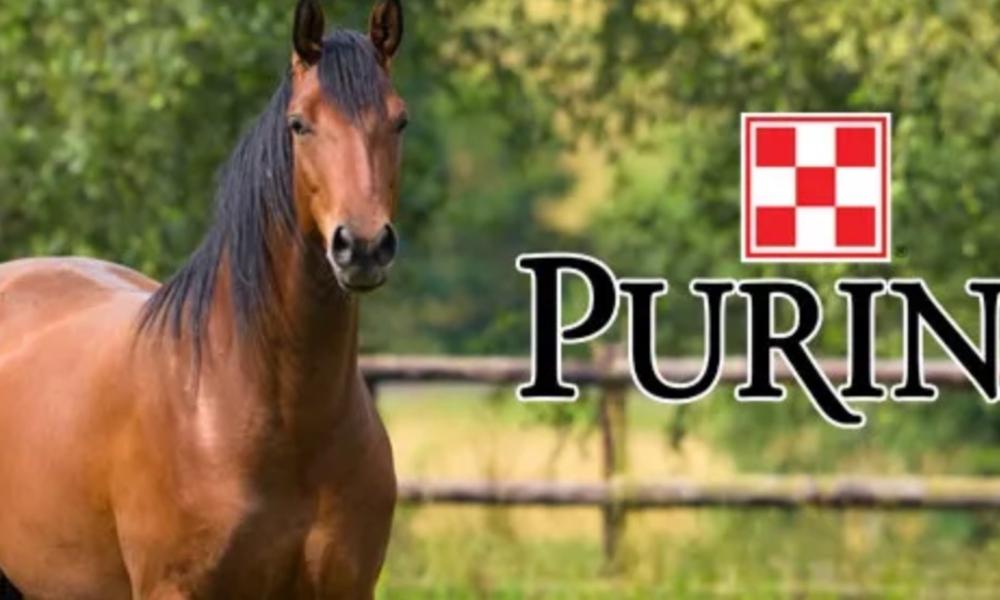 Purina Equine