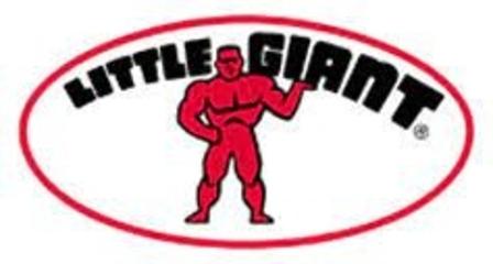 Little Giant