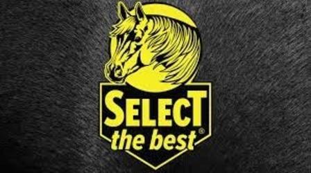 Select Equine