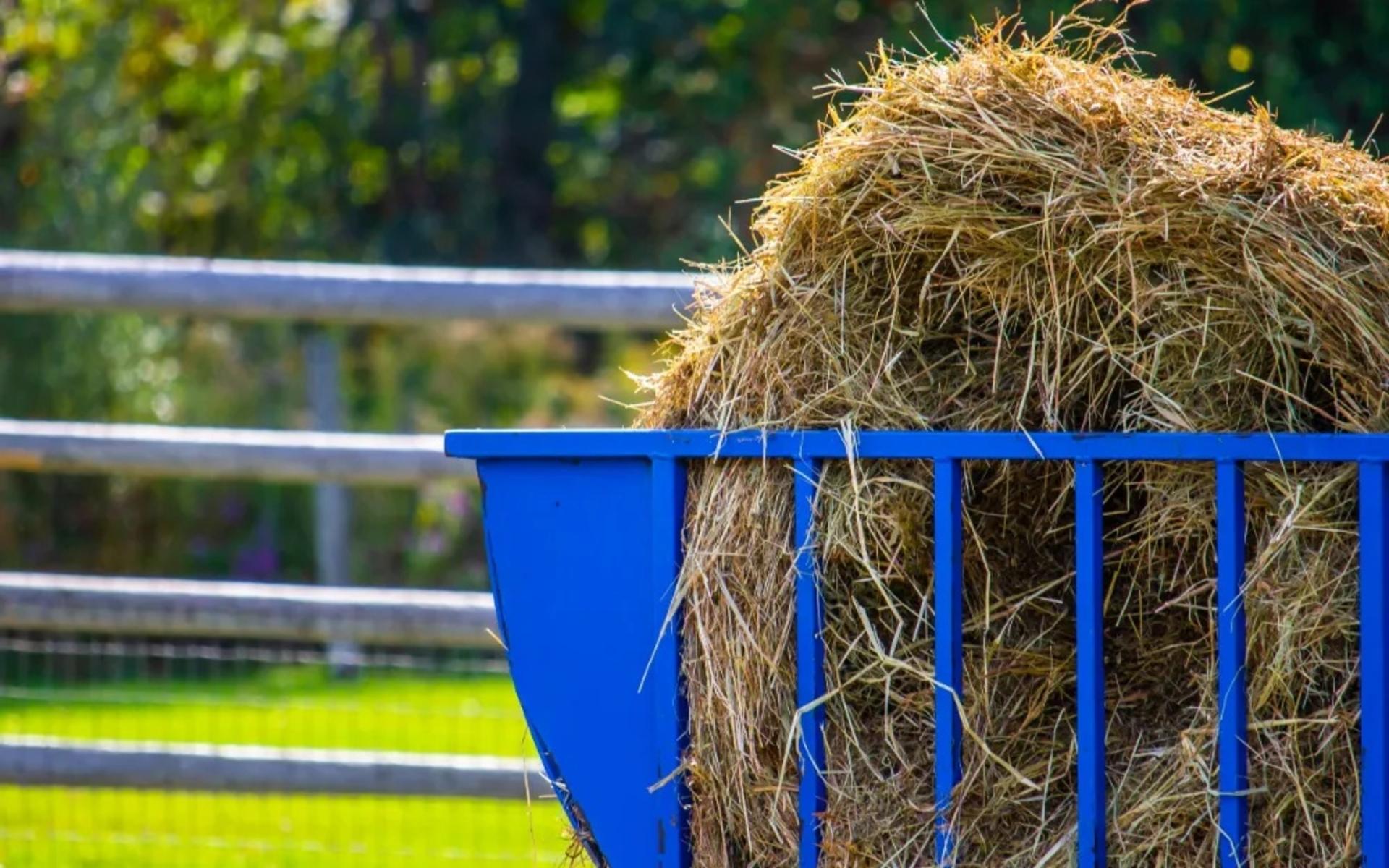 woman walking in barn with buckets