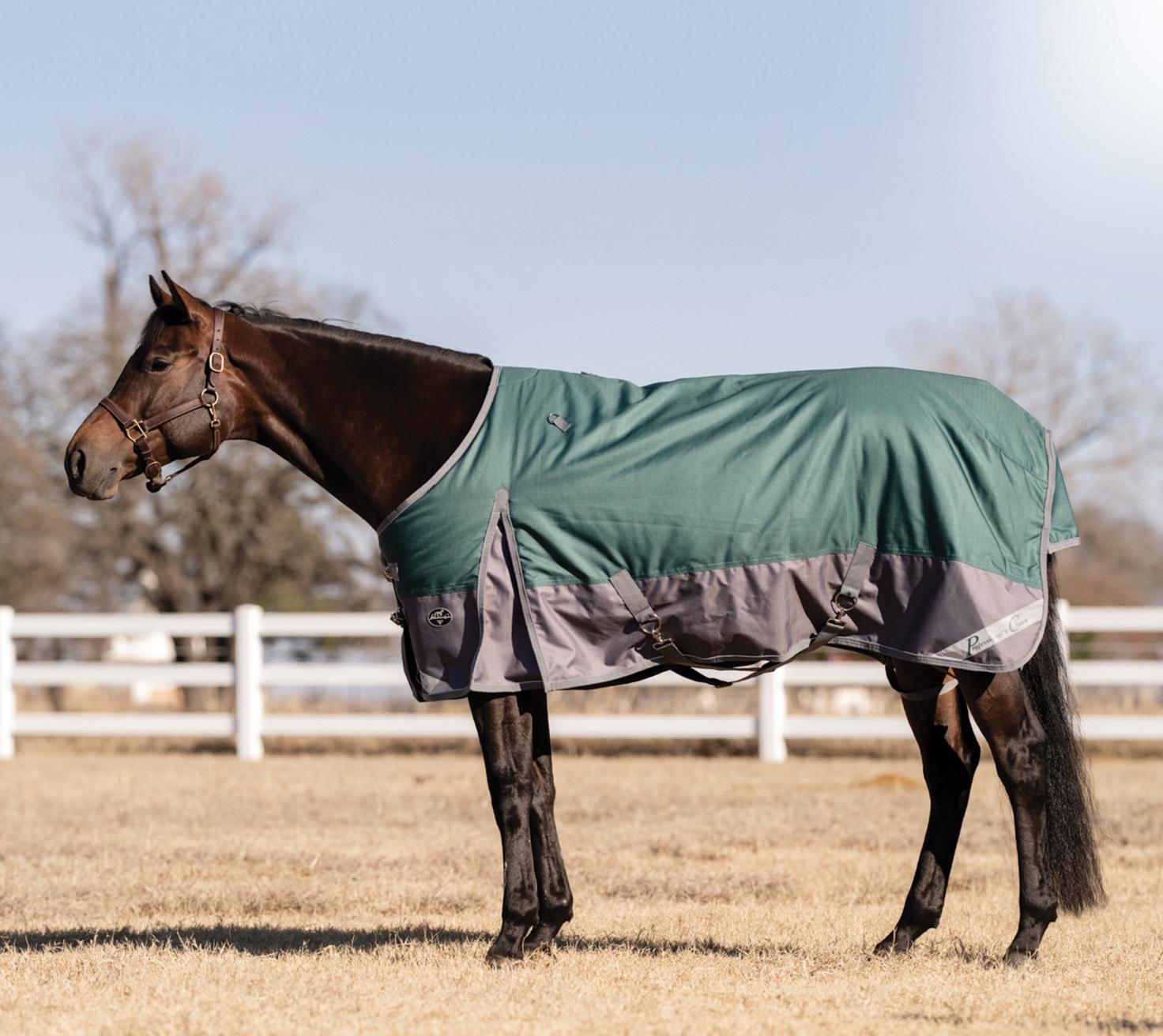 Horse Blanket
