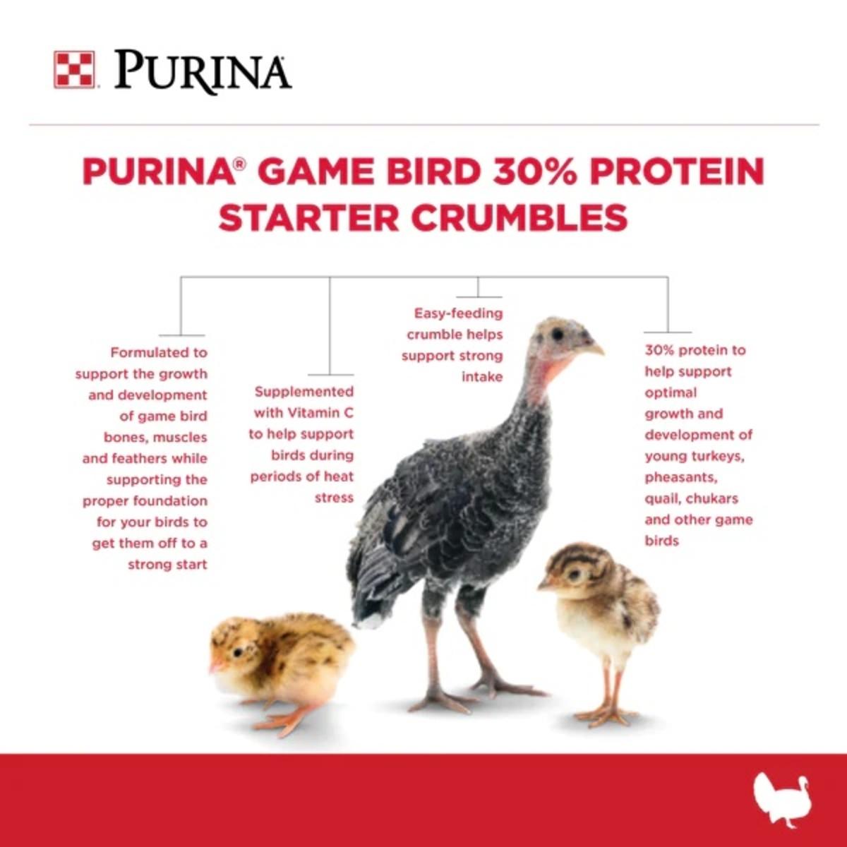 AN_BACKYARDPOULTRY_2021PurinaGam