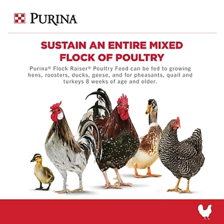 Flock Raiser Pellet chart