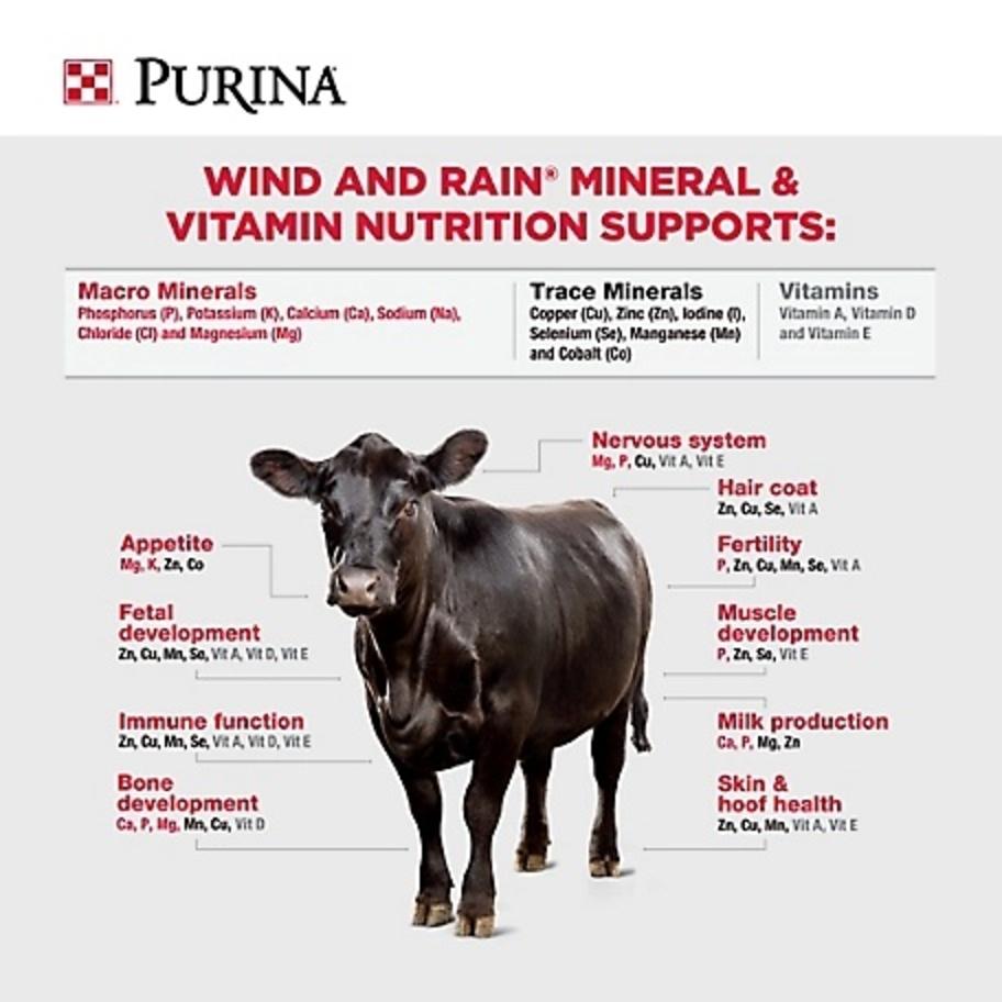 Purina Wind and Rain Storm All S