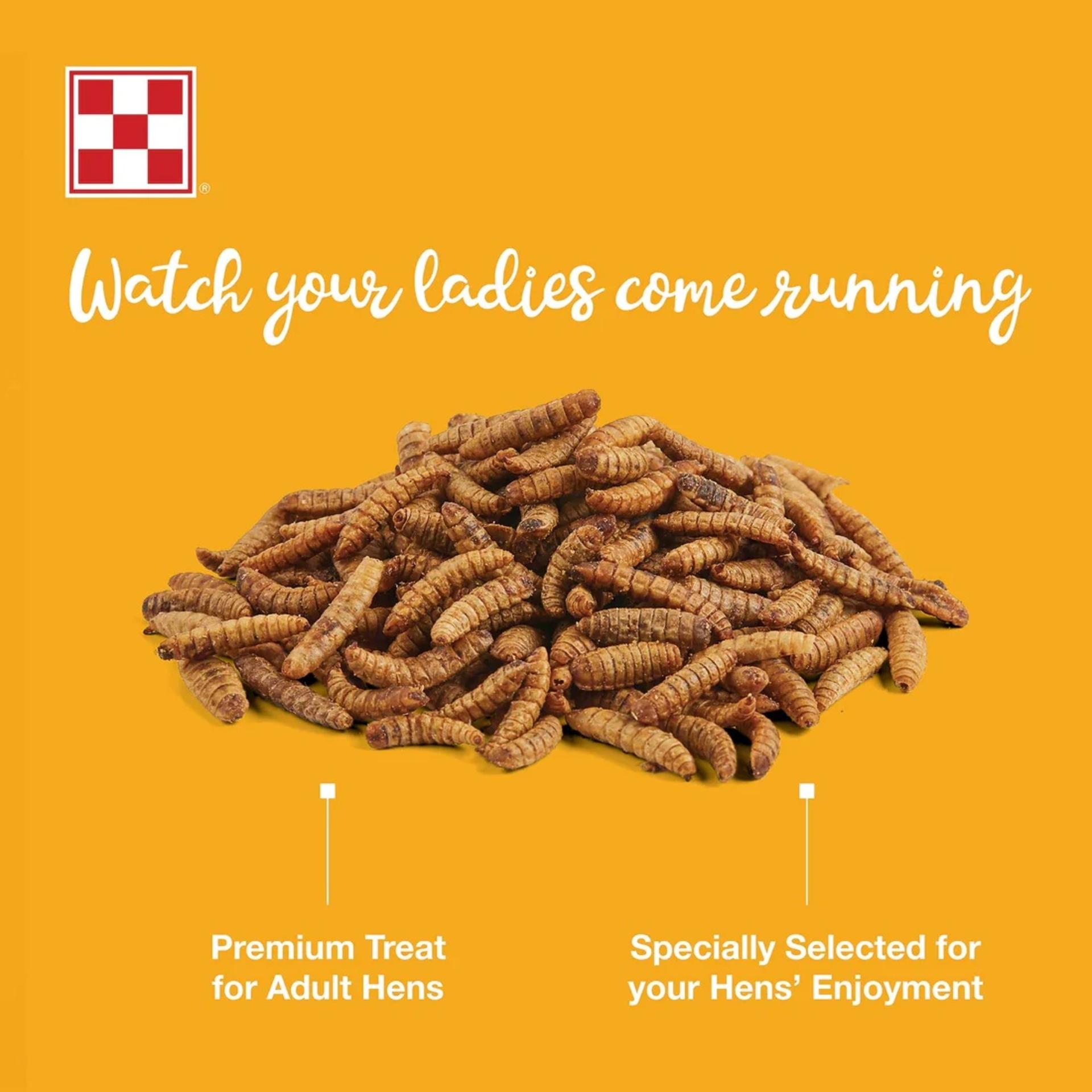 AN_Flock_2021FarmtoFlockHenTreat