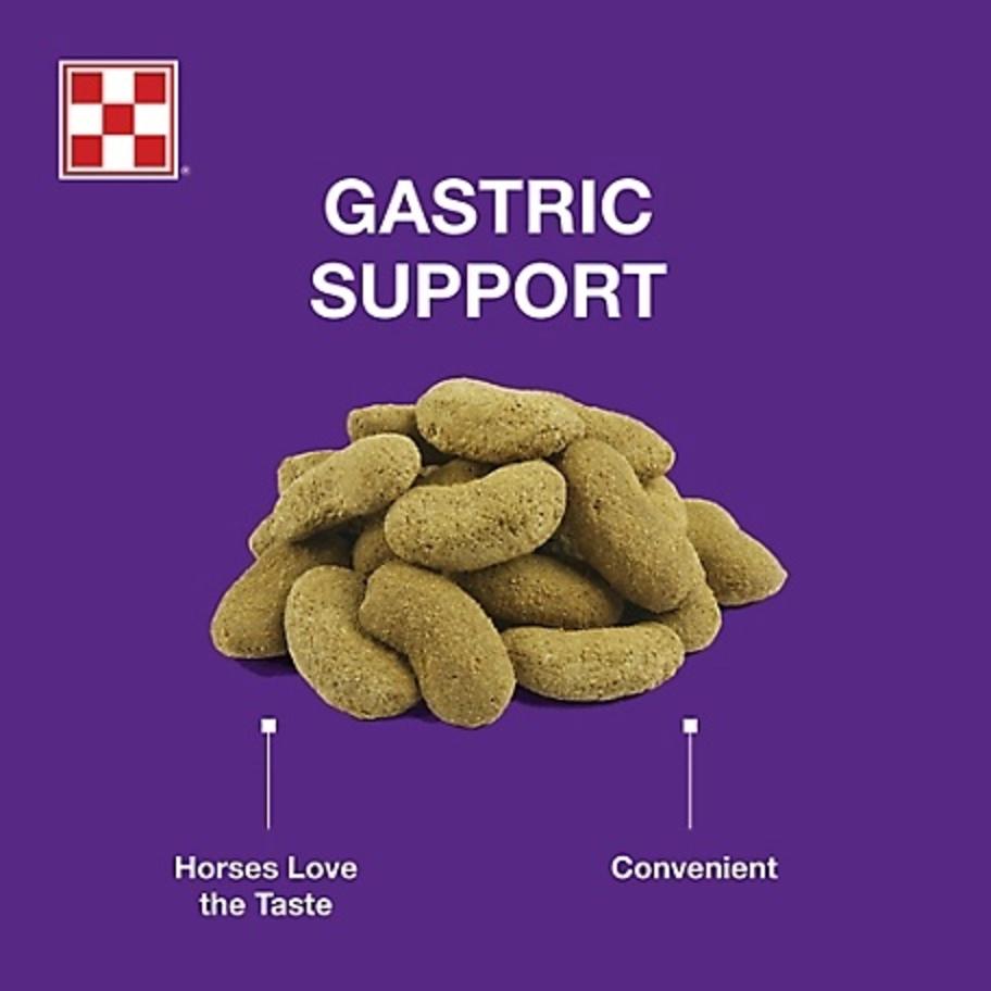 Purina Outlast Horse Treats 3.5
