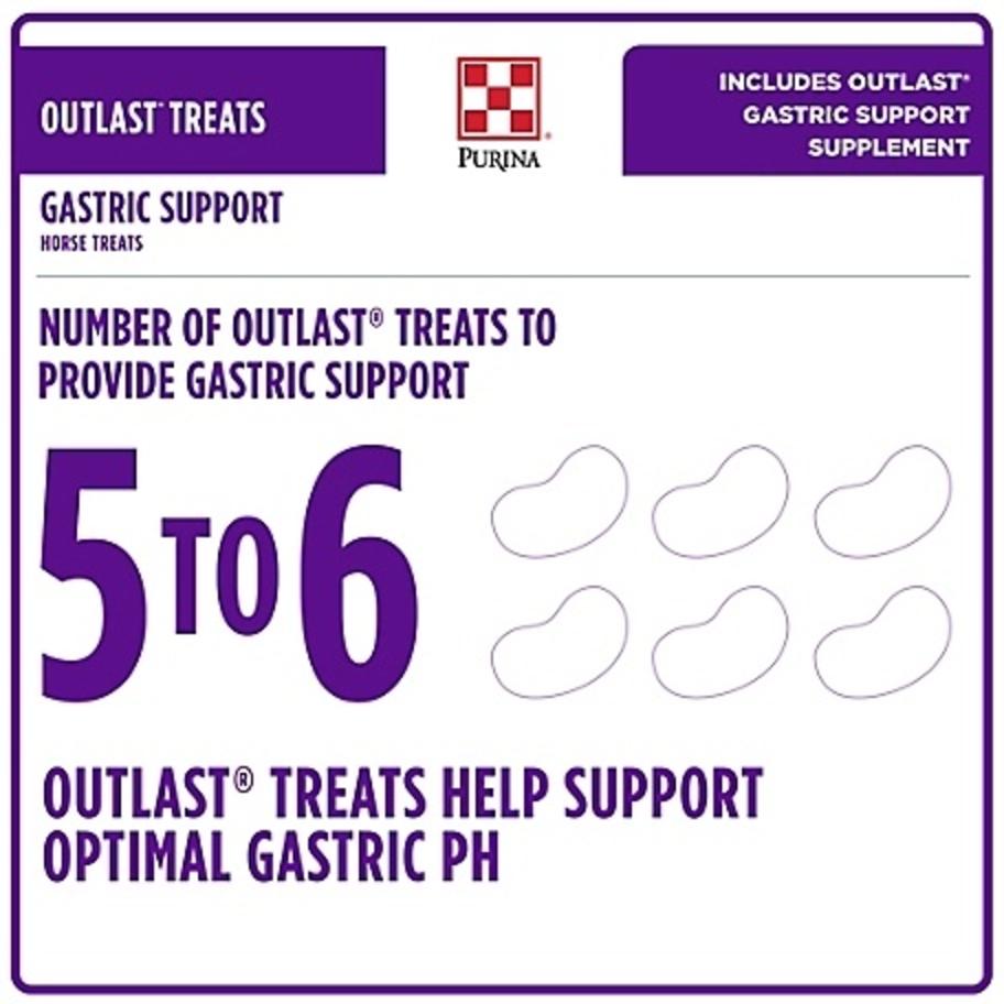 Purina Outlast Horse Treats 3.5