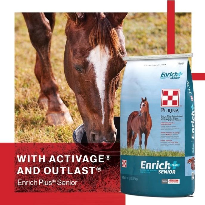 content/products/Purina Enrich Plus Senior Horse Feed 50 lb.