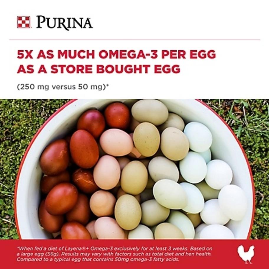 Purina Layena Plus Omega-3 Layer