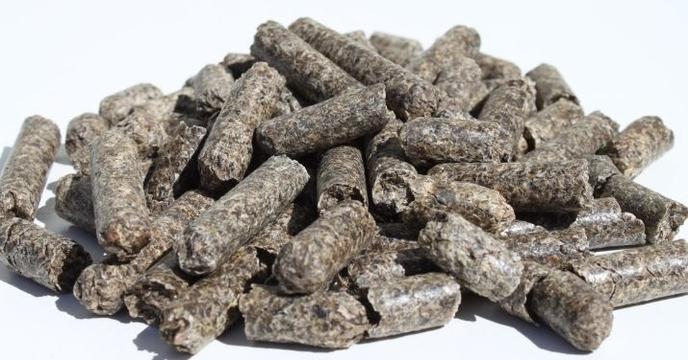 content/products/beet pulp pellets 