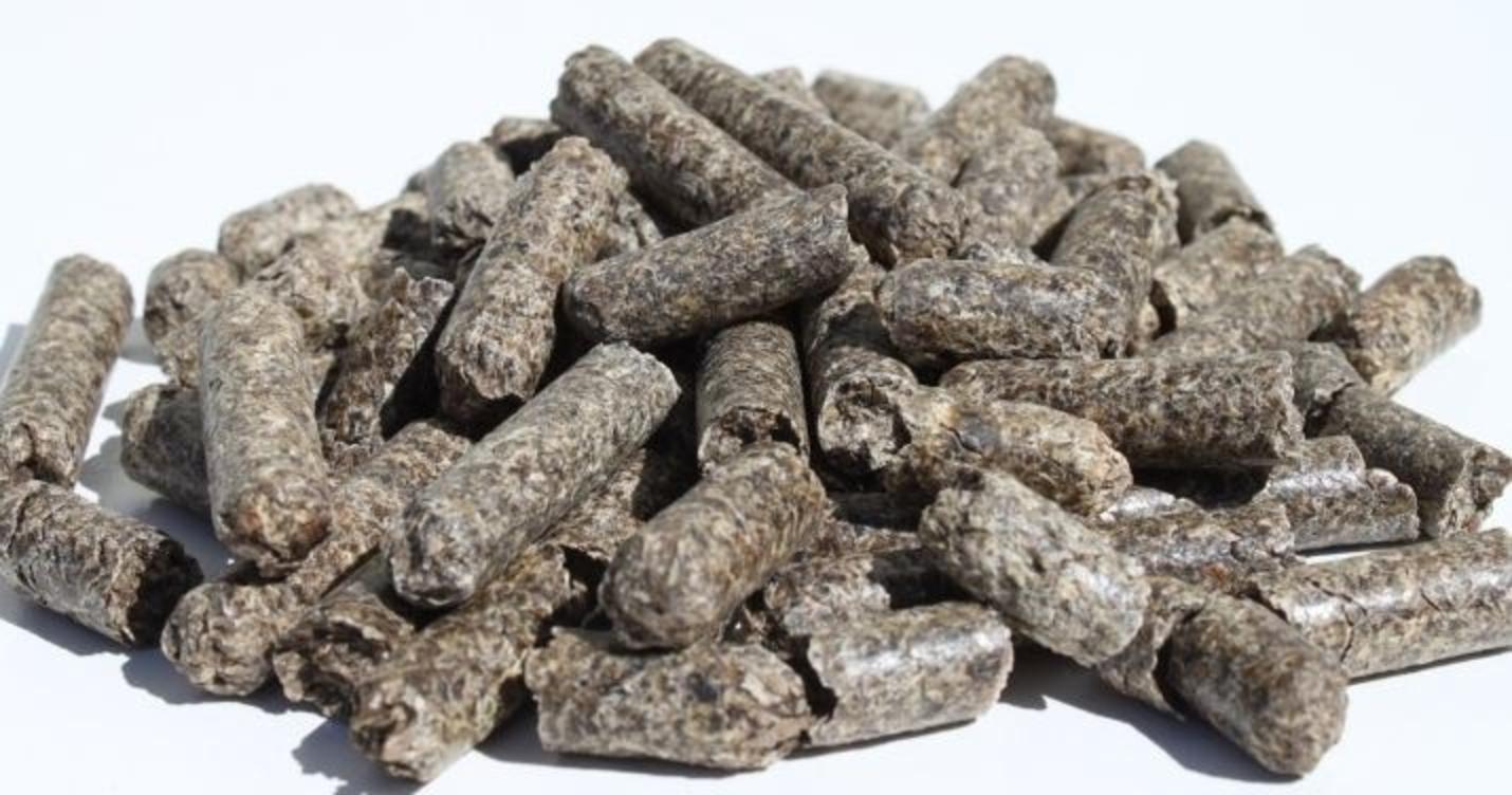 beet pulp pellets 