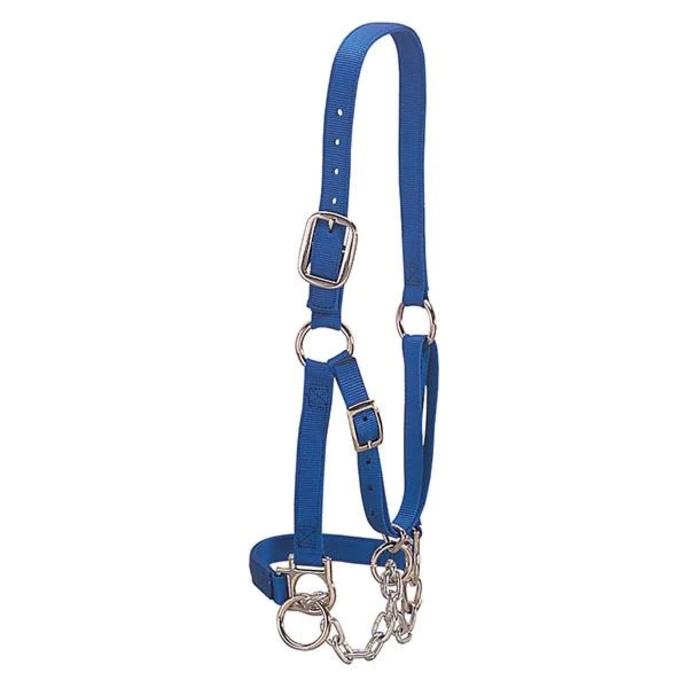 content/products/COW HALTER With CHAIN BLUE CALF