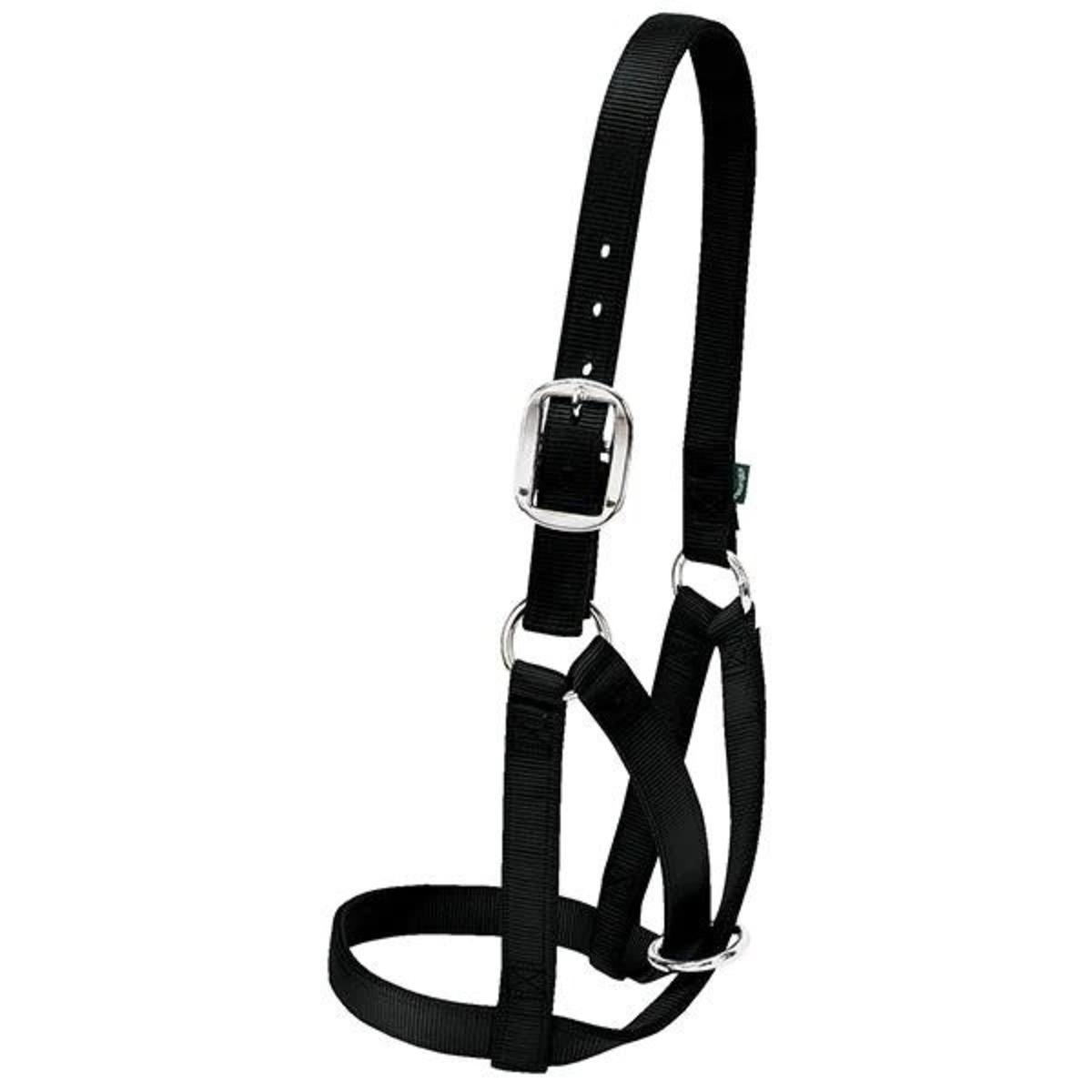 cow halter black 