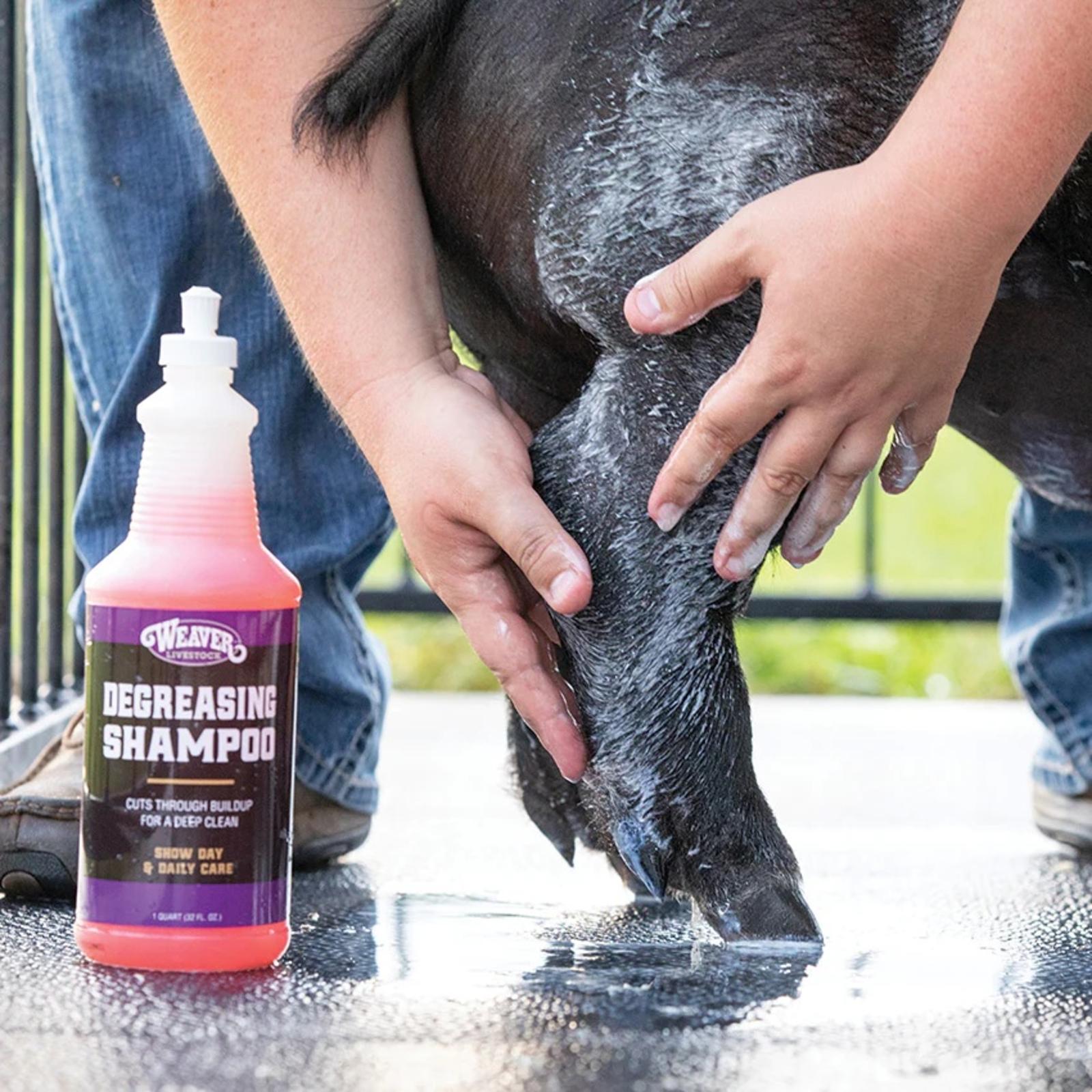 Degreasing Shampoo 