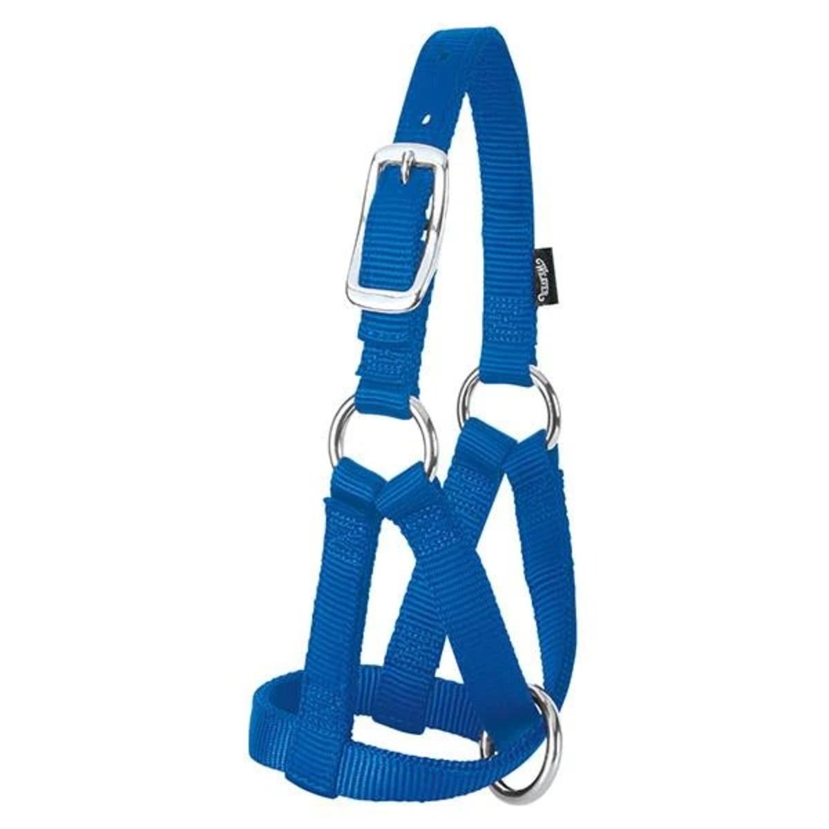 Goat Halter Blue