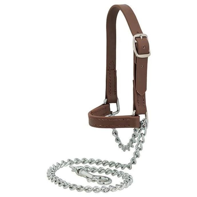 content/products/GOAT SHOW HALTER BRAHMA