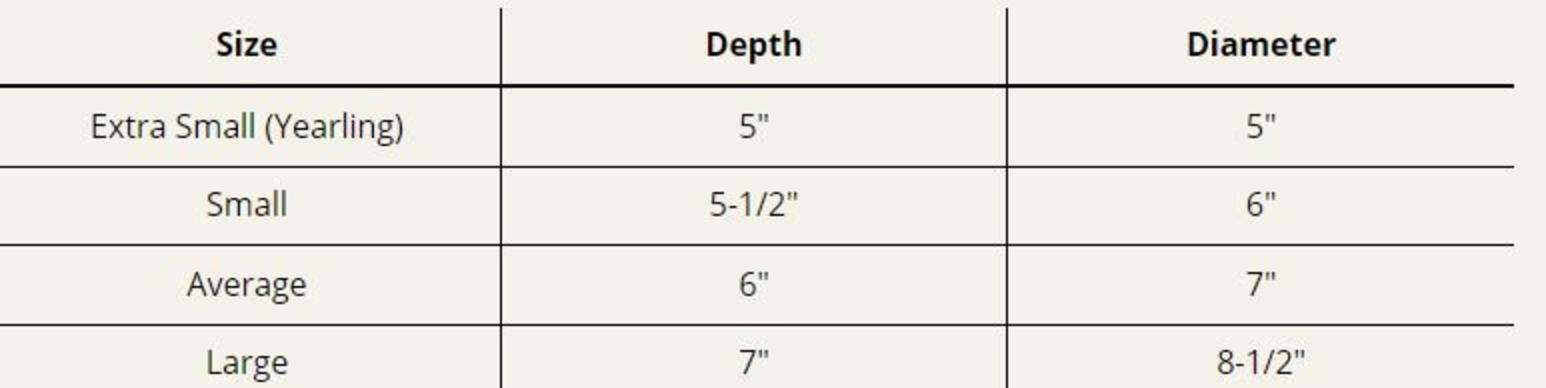 Size Guide Muzzle.jpg
