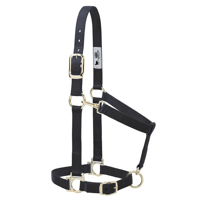 content/products/Black Halter 