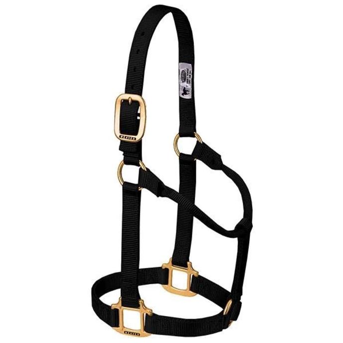 content/products/halter basic non adj blk