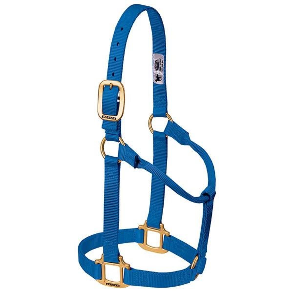 halter basic non adj blu