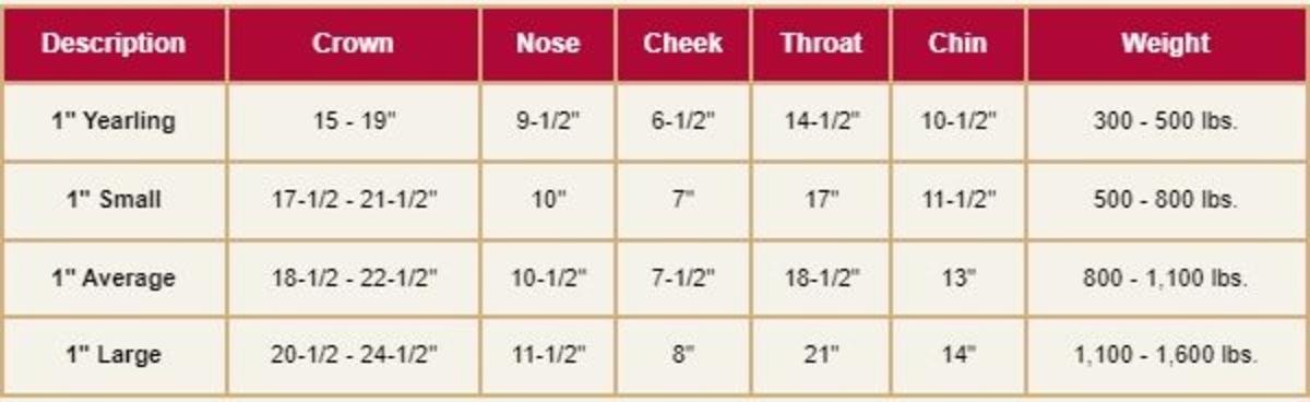 Halter Size CHART