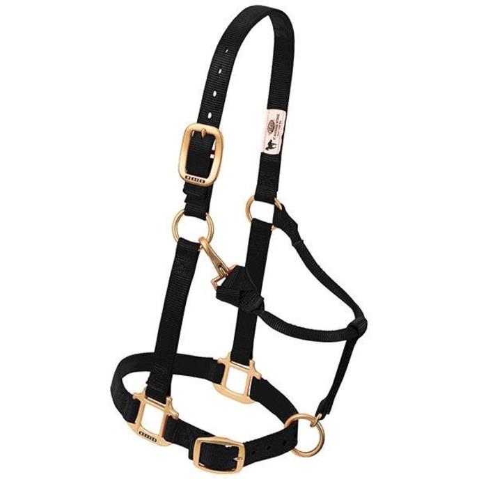 content/products/3-4 adj halter black