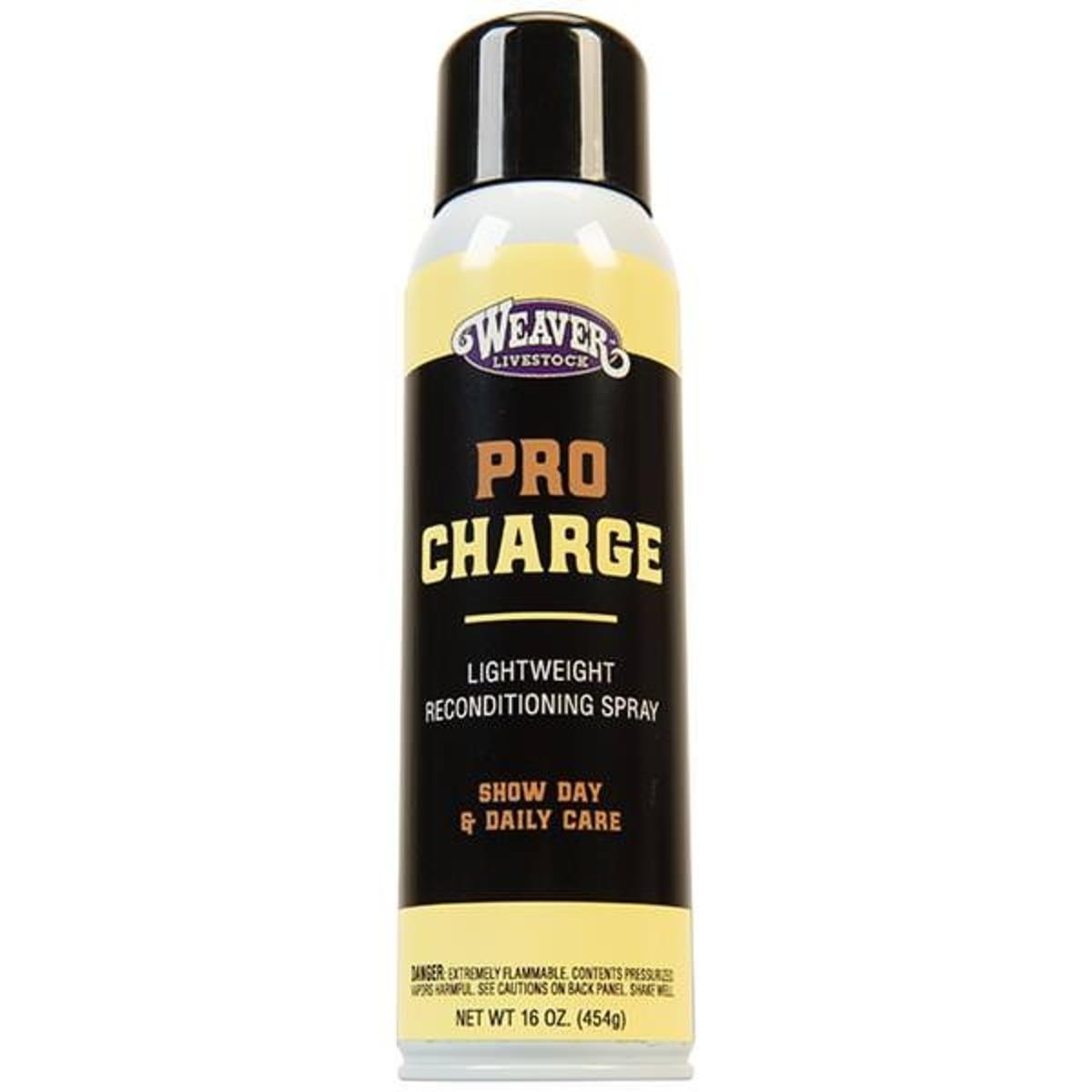 Pro Charge Con Spray