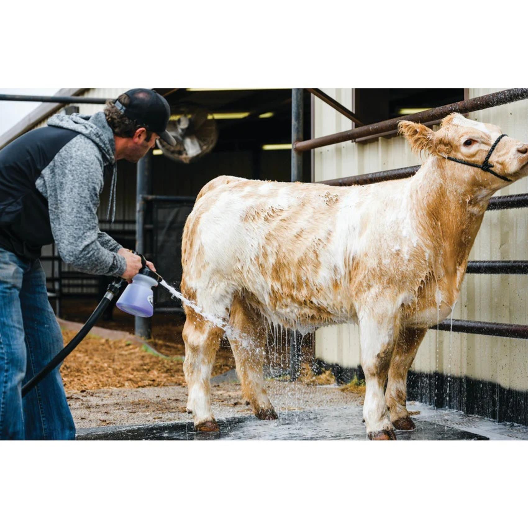 Shimmer Shampoo Calf