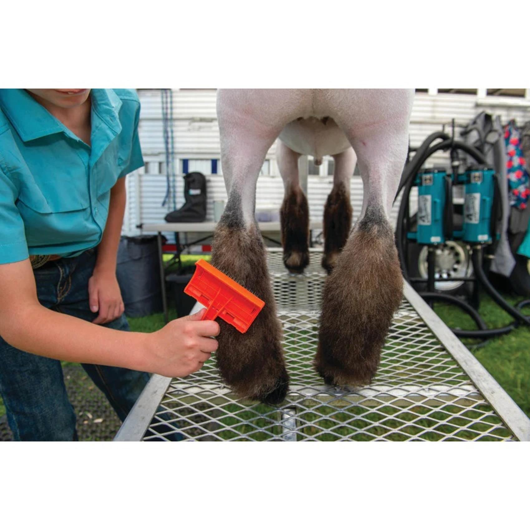 Plastic Slicker Brush Demo Sheep