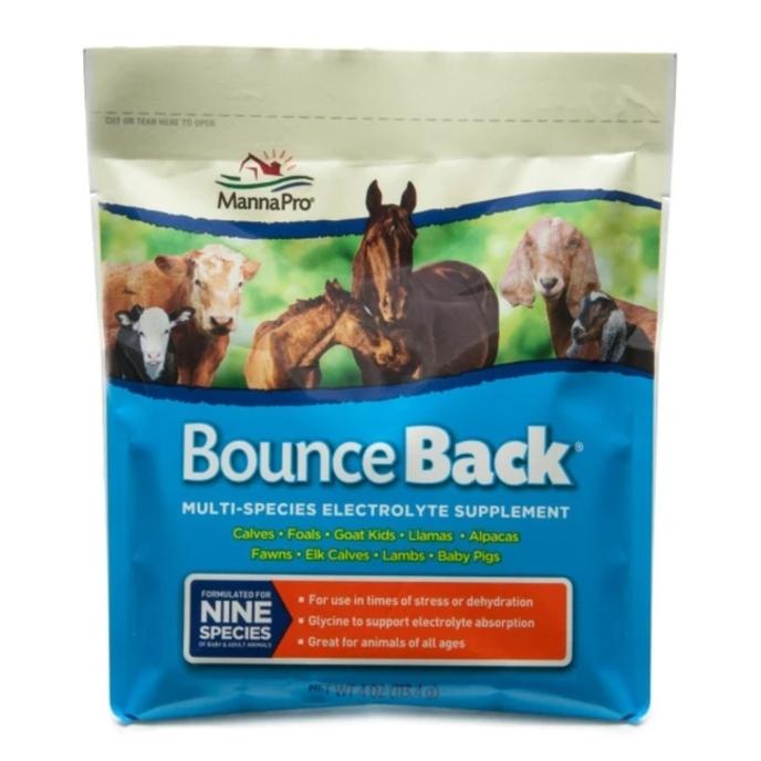 content/products/BOUNCE BACK MULTI SPECIES ELECTROLYTE