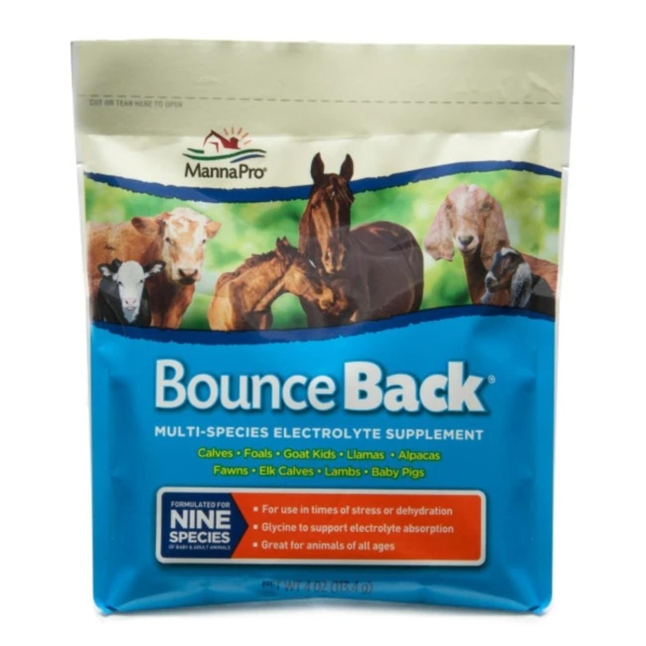 BOUNCE BACK MULTI SPECIES ELECTROLYTE