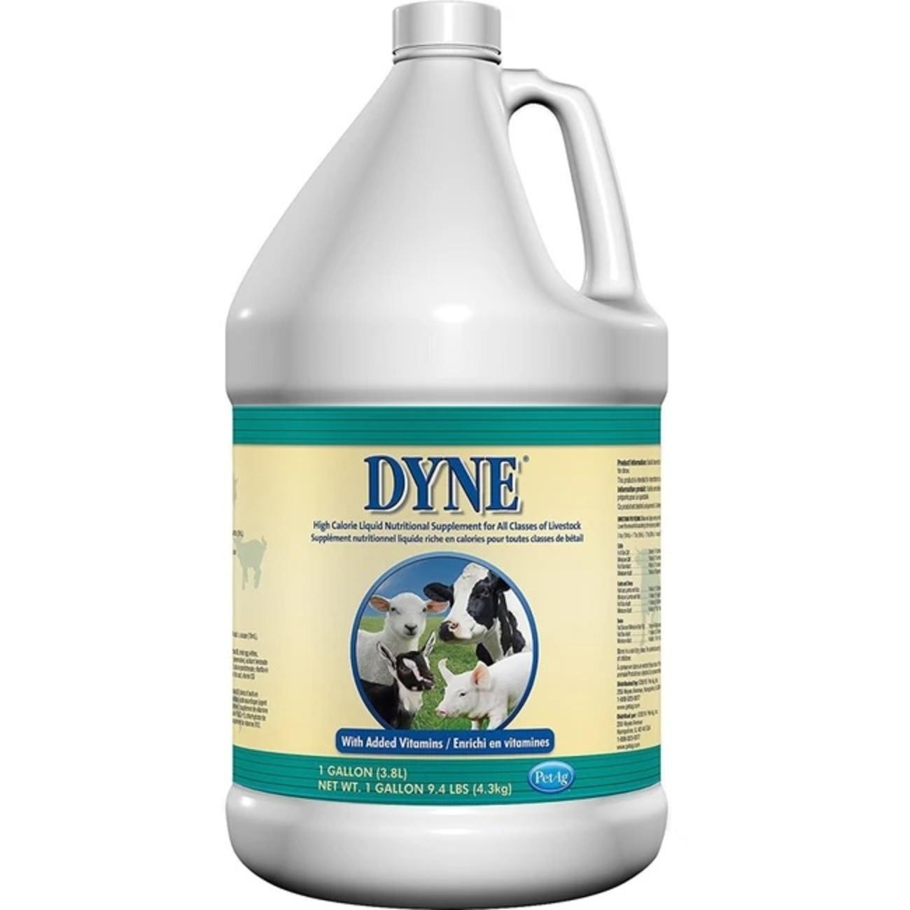 DYNE HI CAL LIQ LIVESTOCK 1 GAL