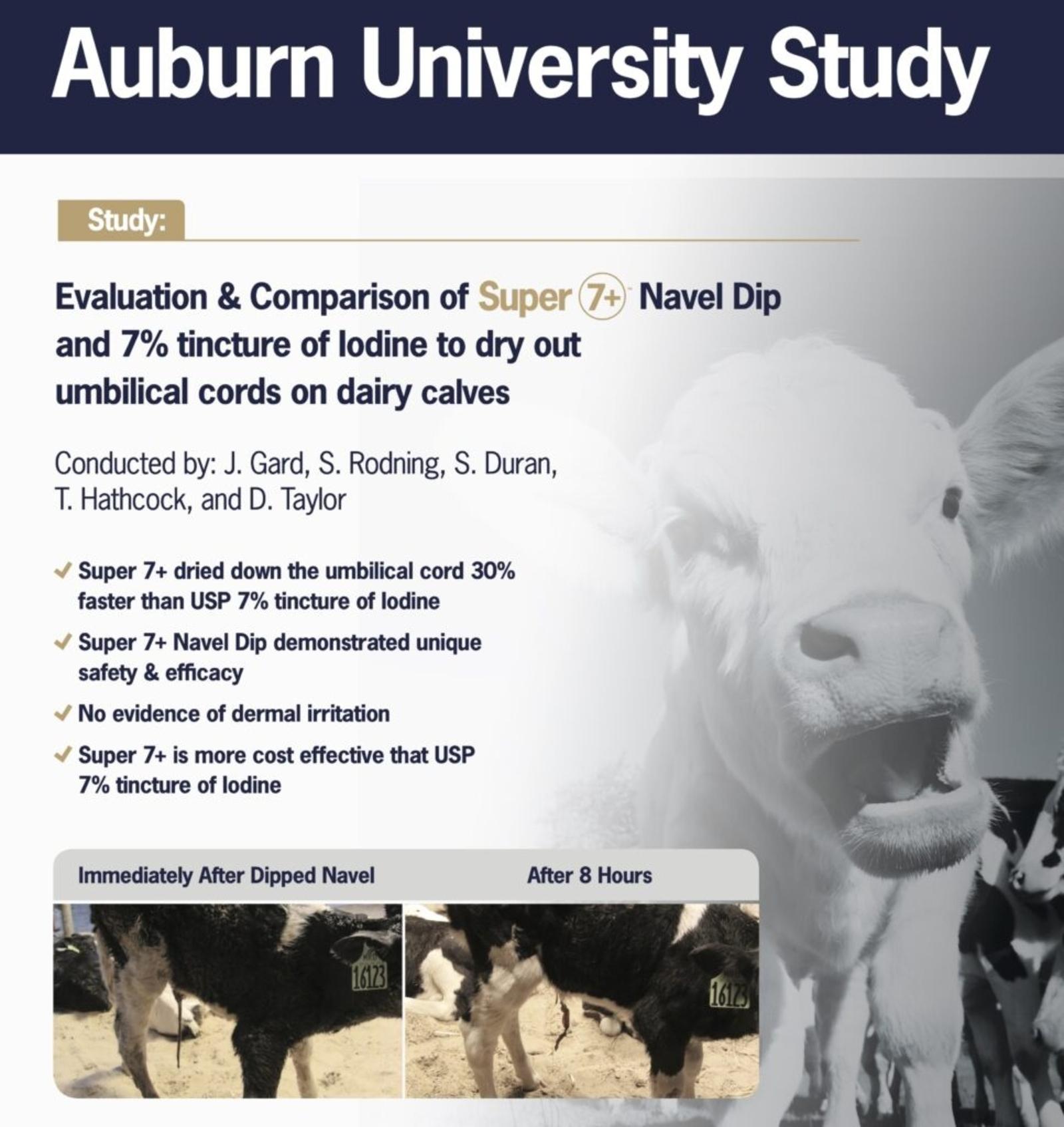 Auburn_Navel7_Poster_wo_chart-967x1024