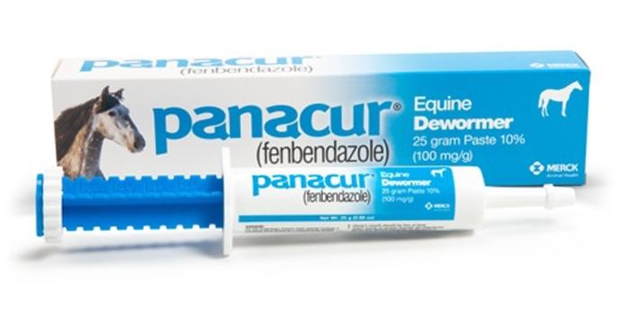 content/products/PANACUR®-fenbendazole-PASTE-equine-product-group-1600x800-1