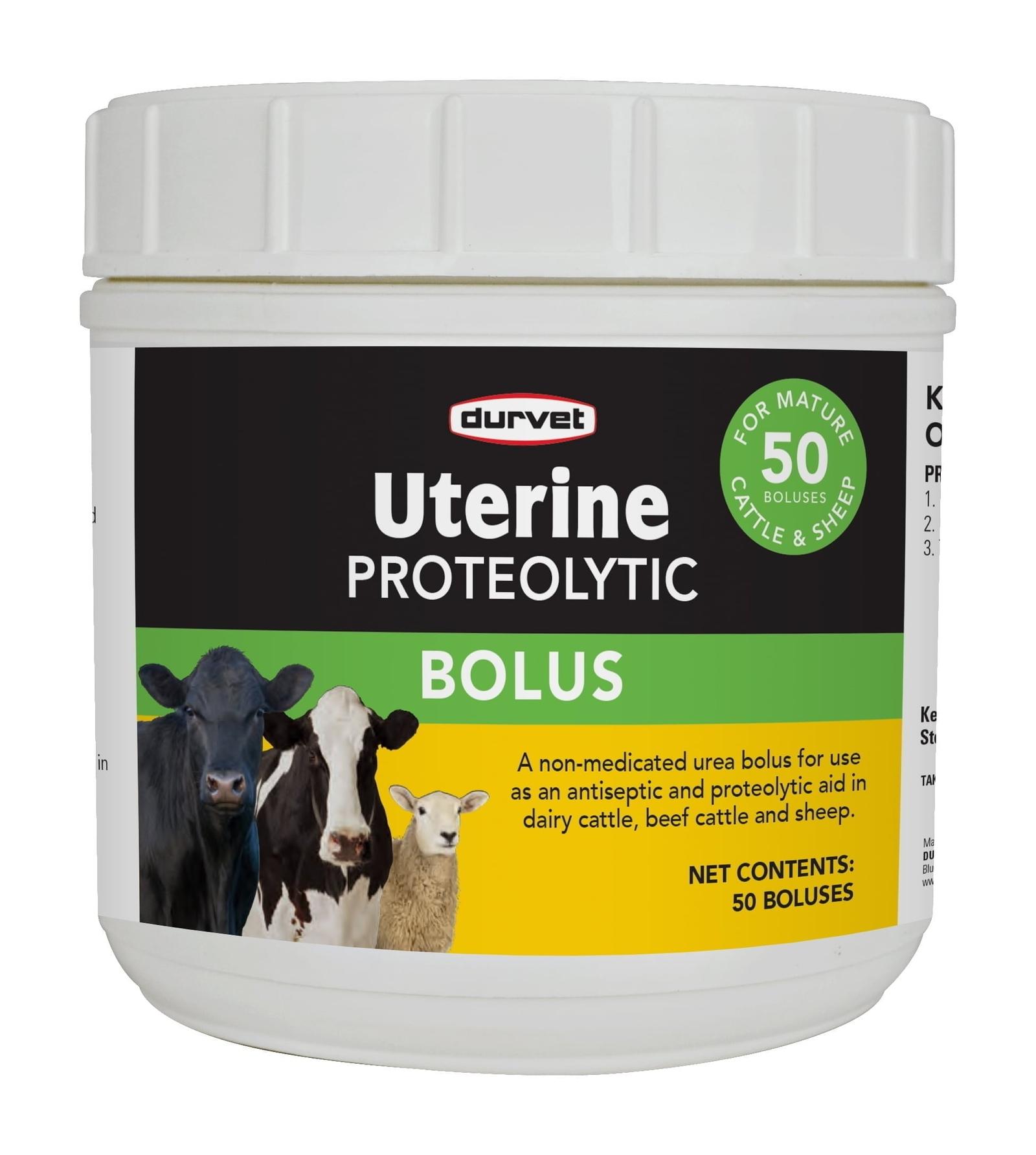 Uterine-Bolus_50s_0014200