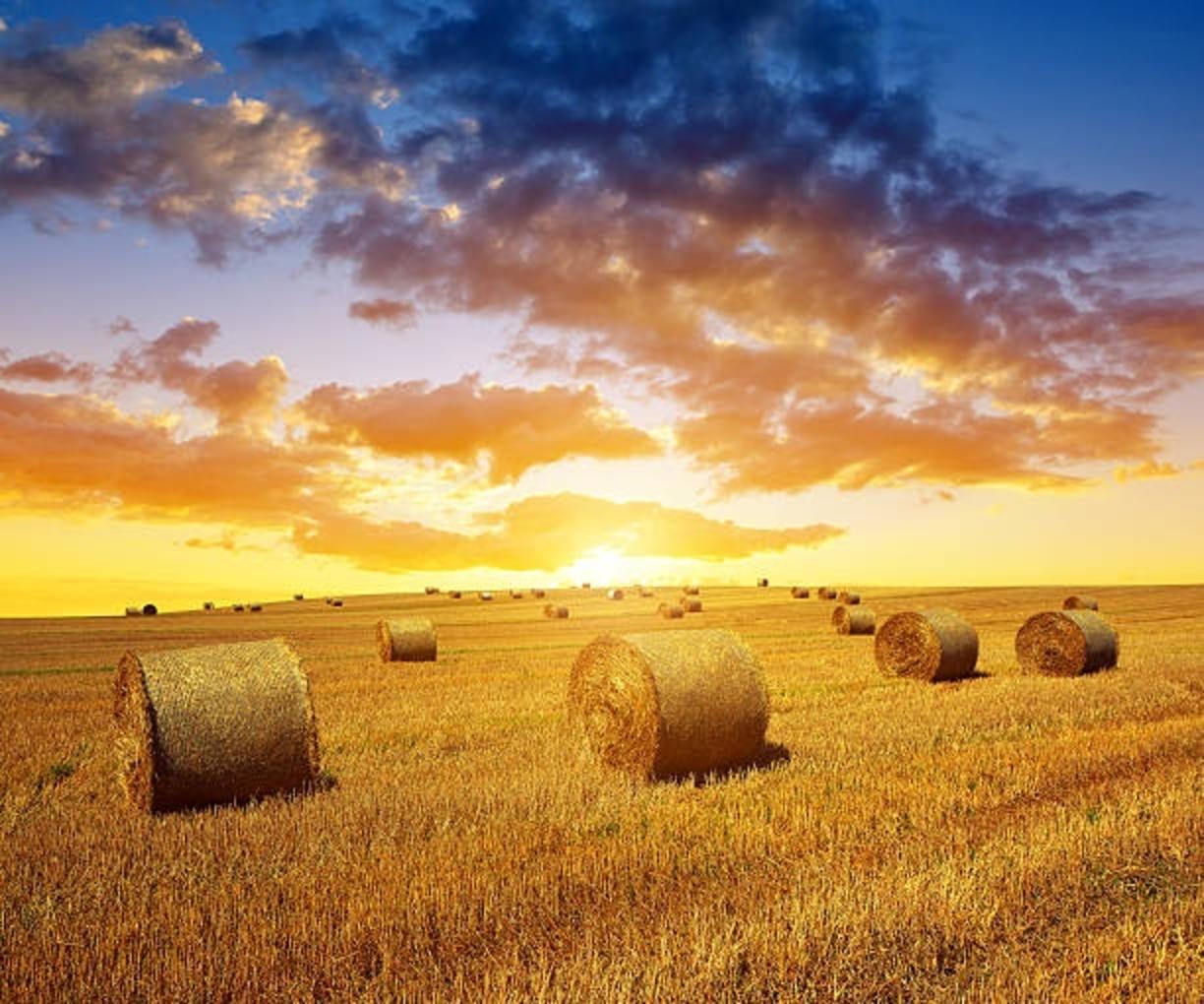 istockphoto-470375588-612x612