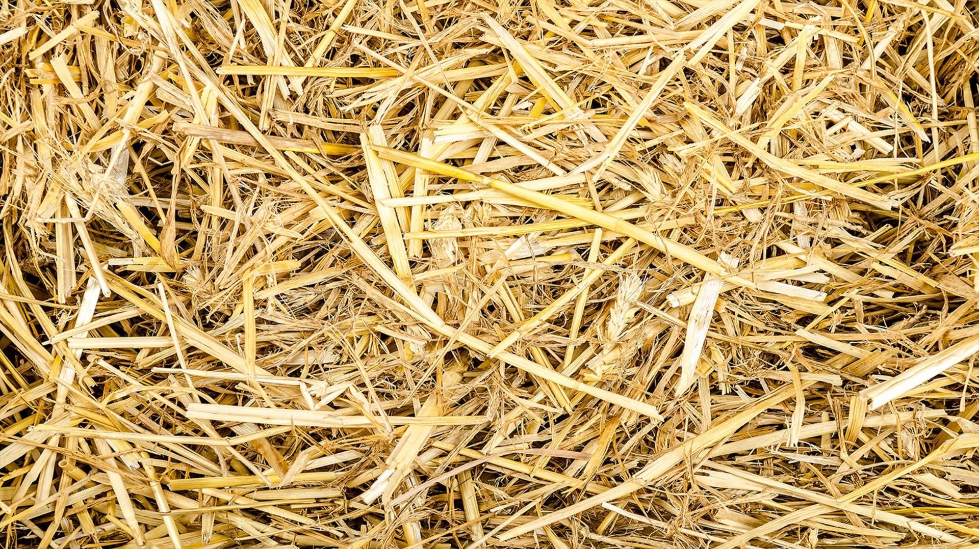 closeup-shot-of-hay