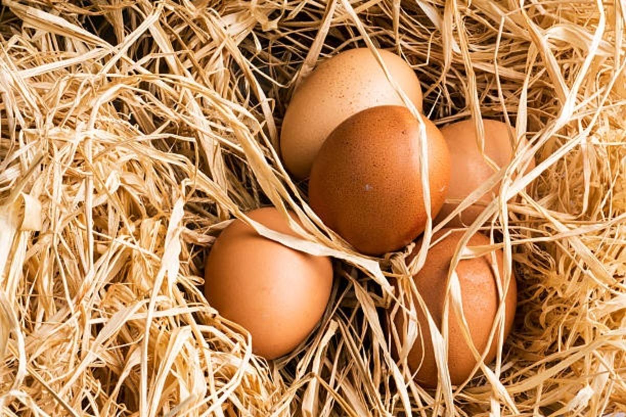 eggs on straw