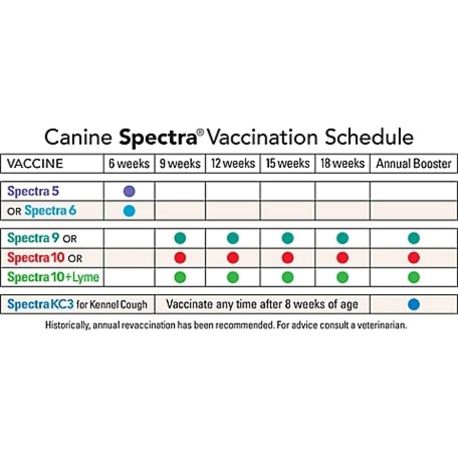 Spectra chart vaccination schedule 