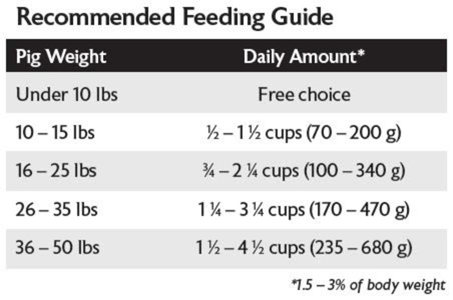 feeeding guide mini pig mazuri