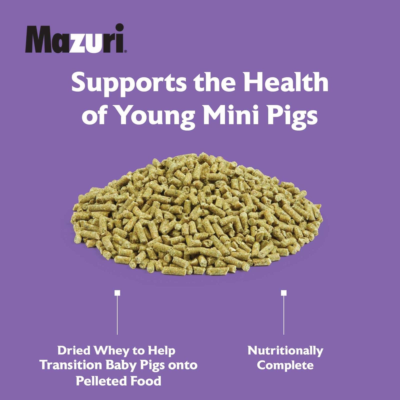 2022_Mazuri_Mini-Pig-Youth_5Z4A_feed-image