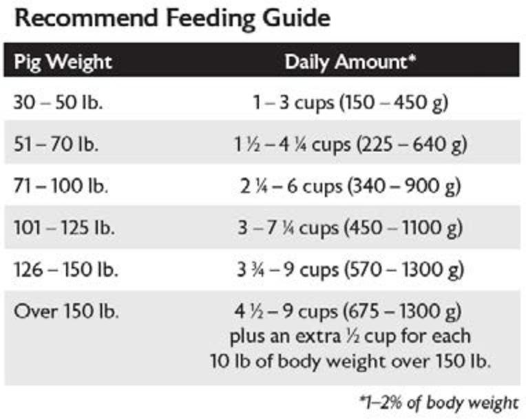 Feedin Directions MAz mini Pig M