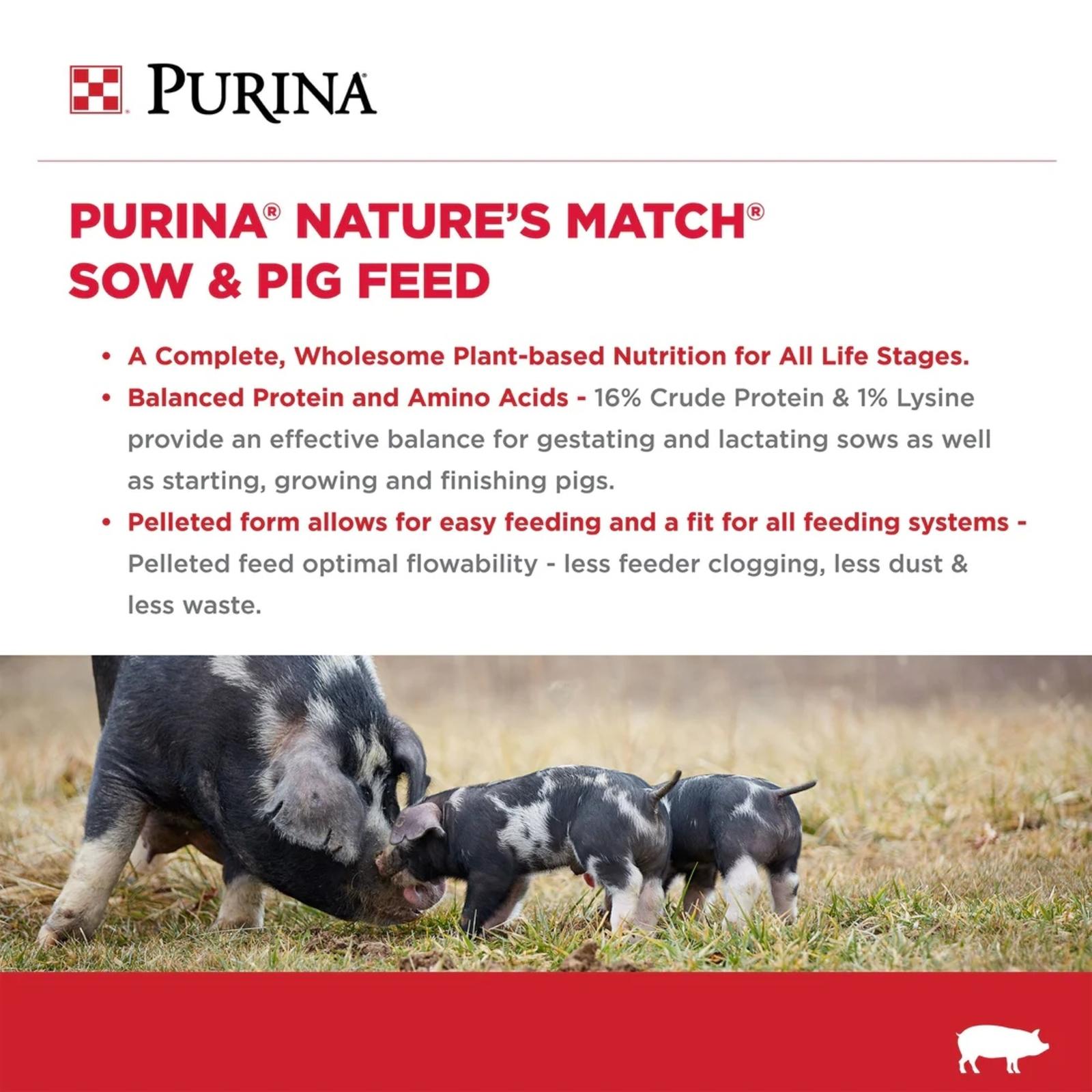 NatureMatch_sow_pig_graphic_26e4c934-0788-4407-80c5-c528af8ea588