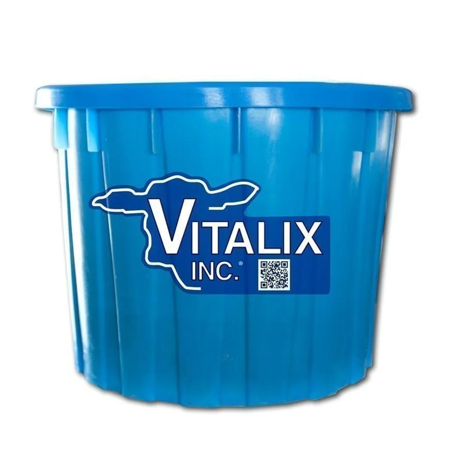 vitalix 250