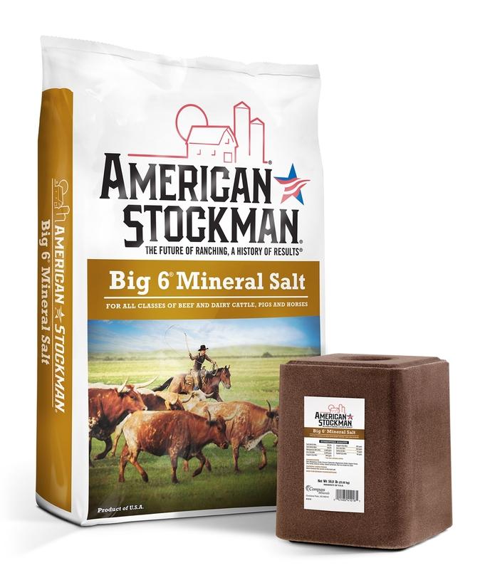 content/products/as-big6mineralsalt-2315x2770