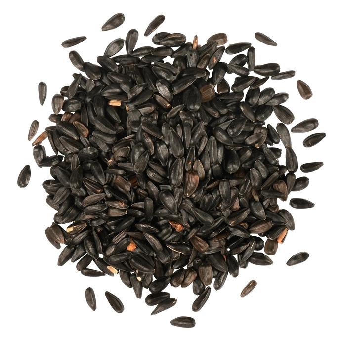 content/products/Black-Oil-Sunflower-Pile