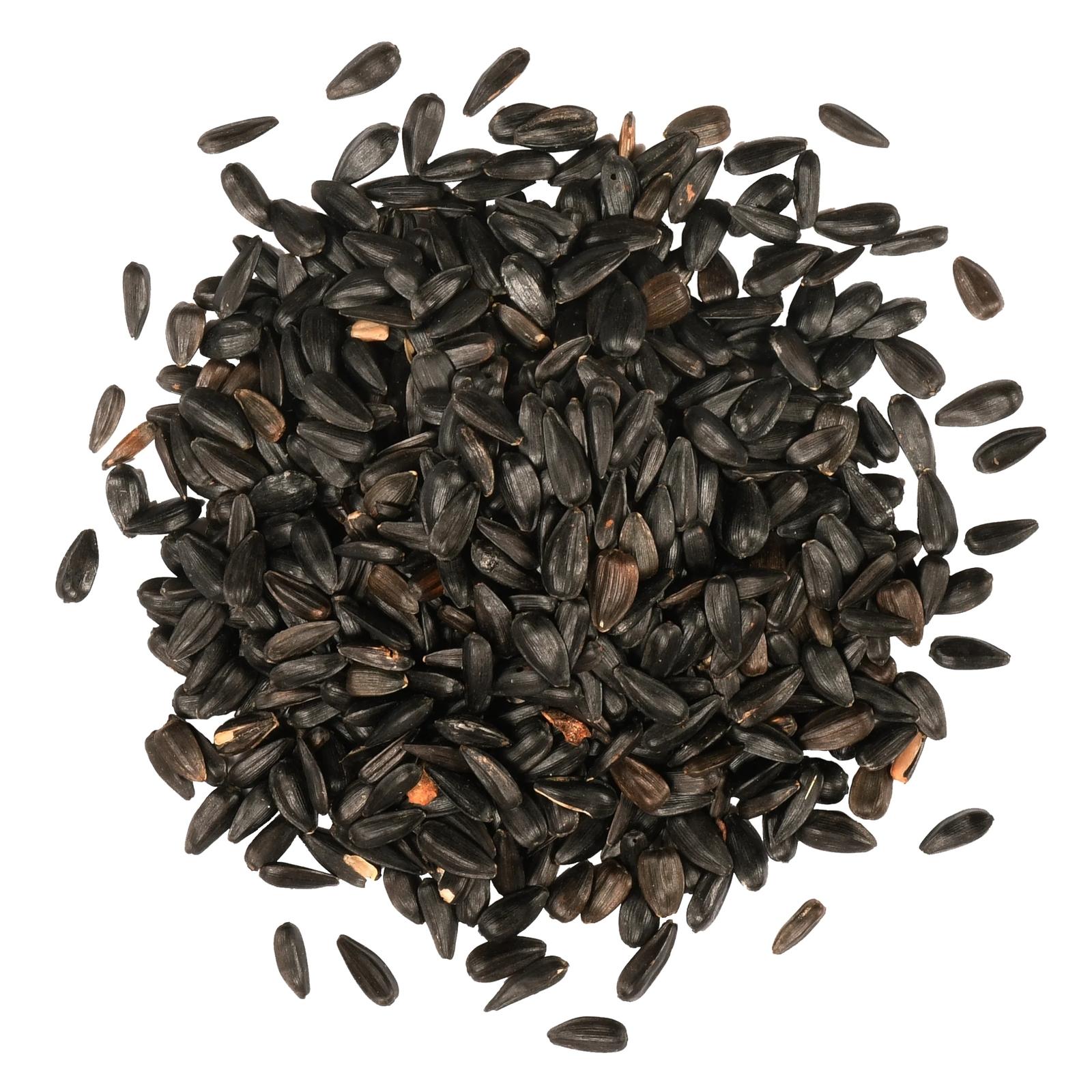 Black-Oil-Sunflower-Pile