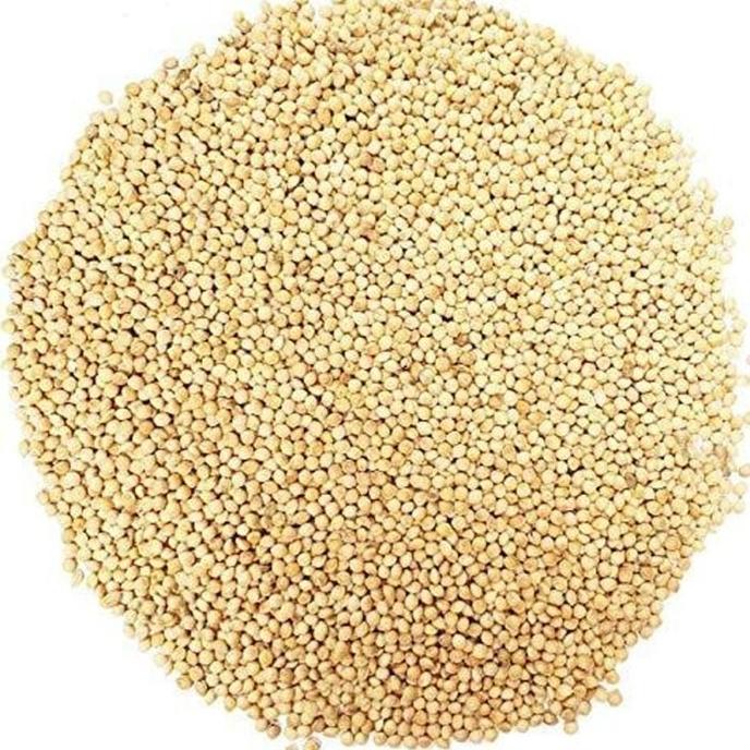 content/products/white_millet_bird_seed_50_lb_