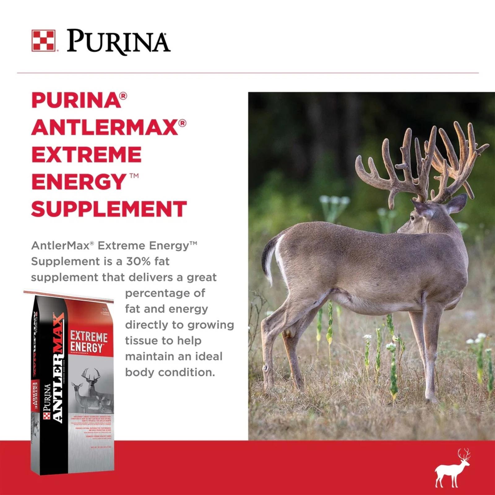 Deer_extreme_energy_FB_resize